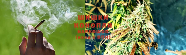 гашик Волосово