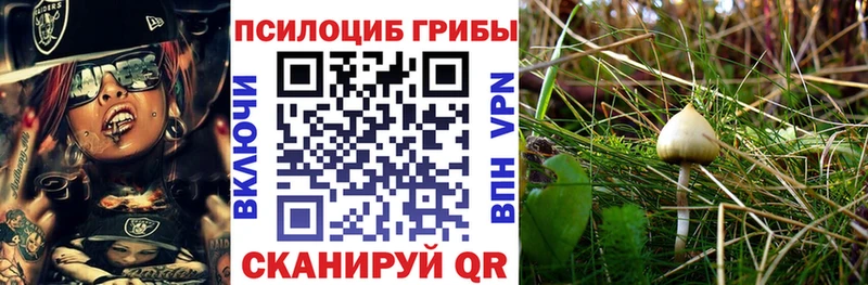 Галлюциногенные грибы MAGIC MUSHROOMS  магазин  наркотиков  hydra зеркало  Канаш 